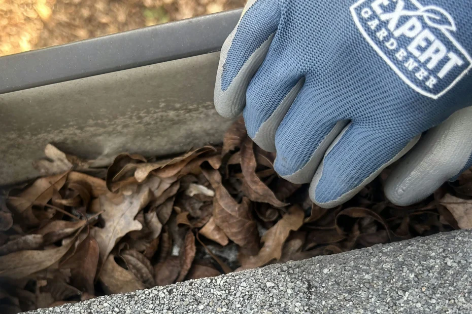 Gutter Cleaning Ardmore