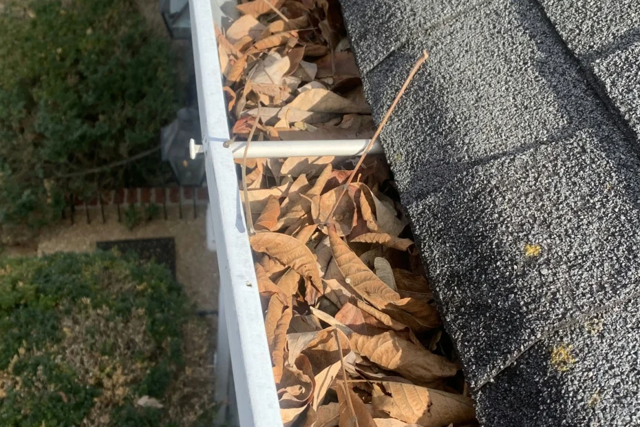 Gutter Cleaning Ardmore