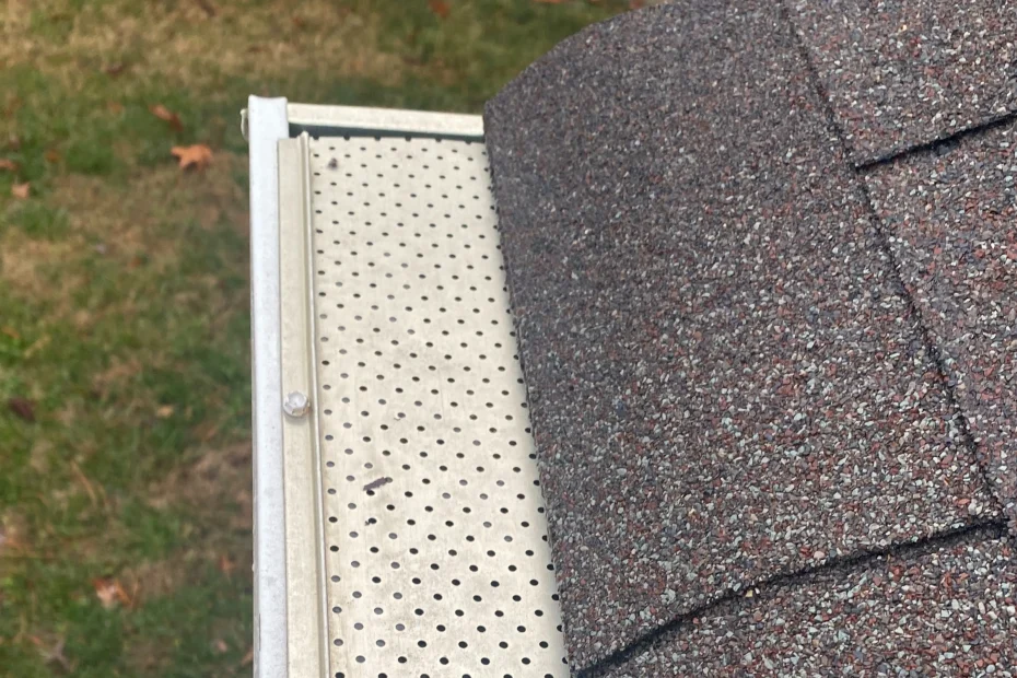 Gutter Cleaning Ardmore